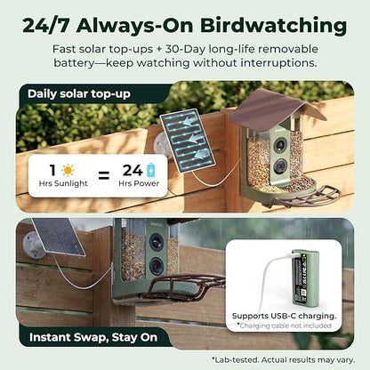 Kiwibit Smart Bird Feeder 4K AI Camera with Solar Panel, No Subscription, Lifetime AI Feature Included, 4K Video Live Stream, 8MP Photos Auto Capture, Bird Species Identification, Bird Notification