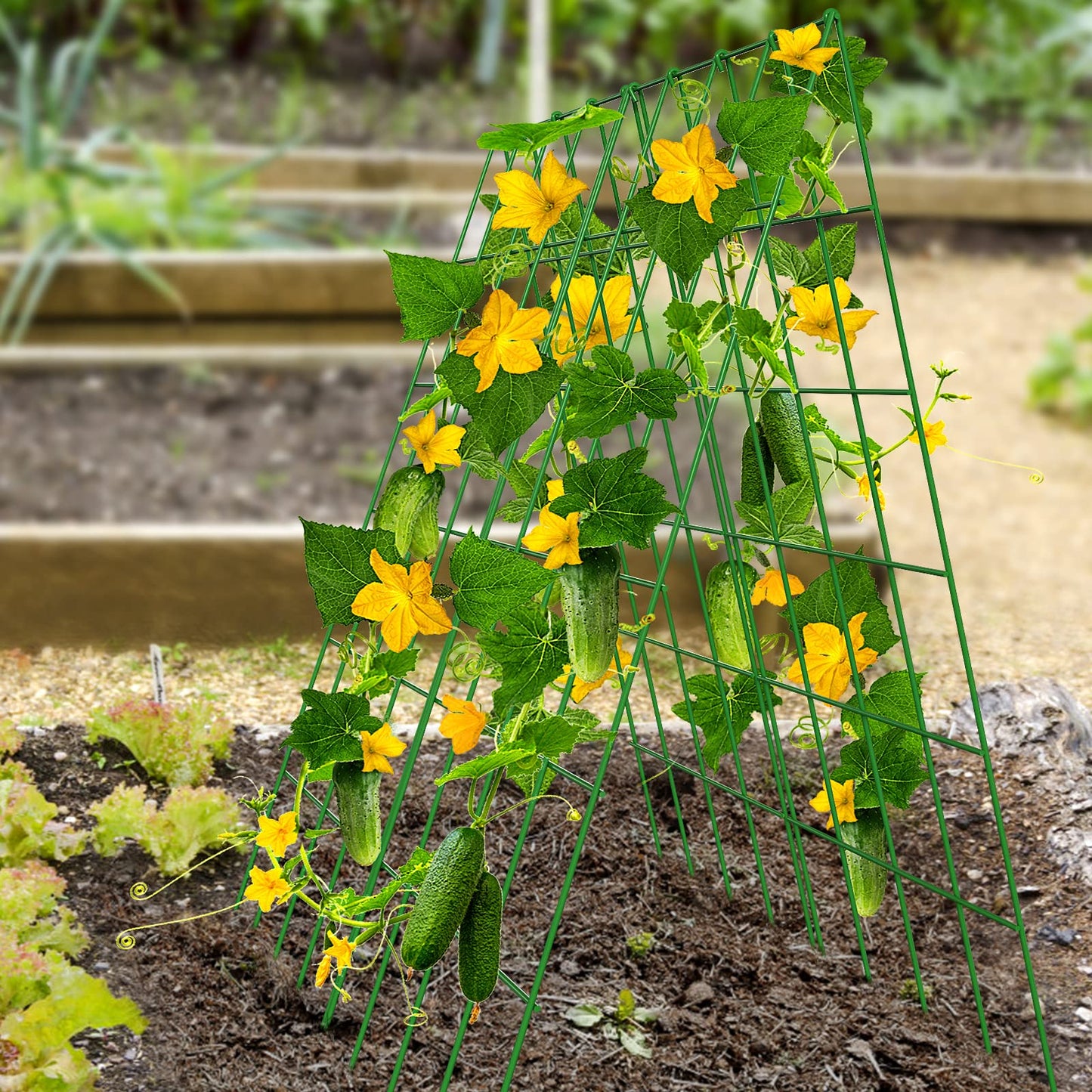 DoCred Cucumber Trellis, 2 Pack Foldable A Frame Trellis for Raised Bed Climbing Plants, Vegetables, Includes Plant Support Clips, Twist Ties, Plastic Ties- Made from PVC-Coated Steel