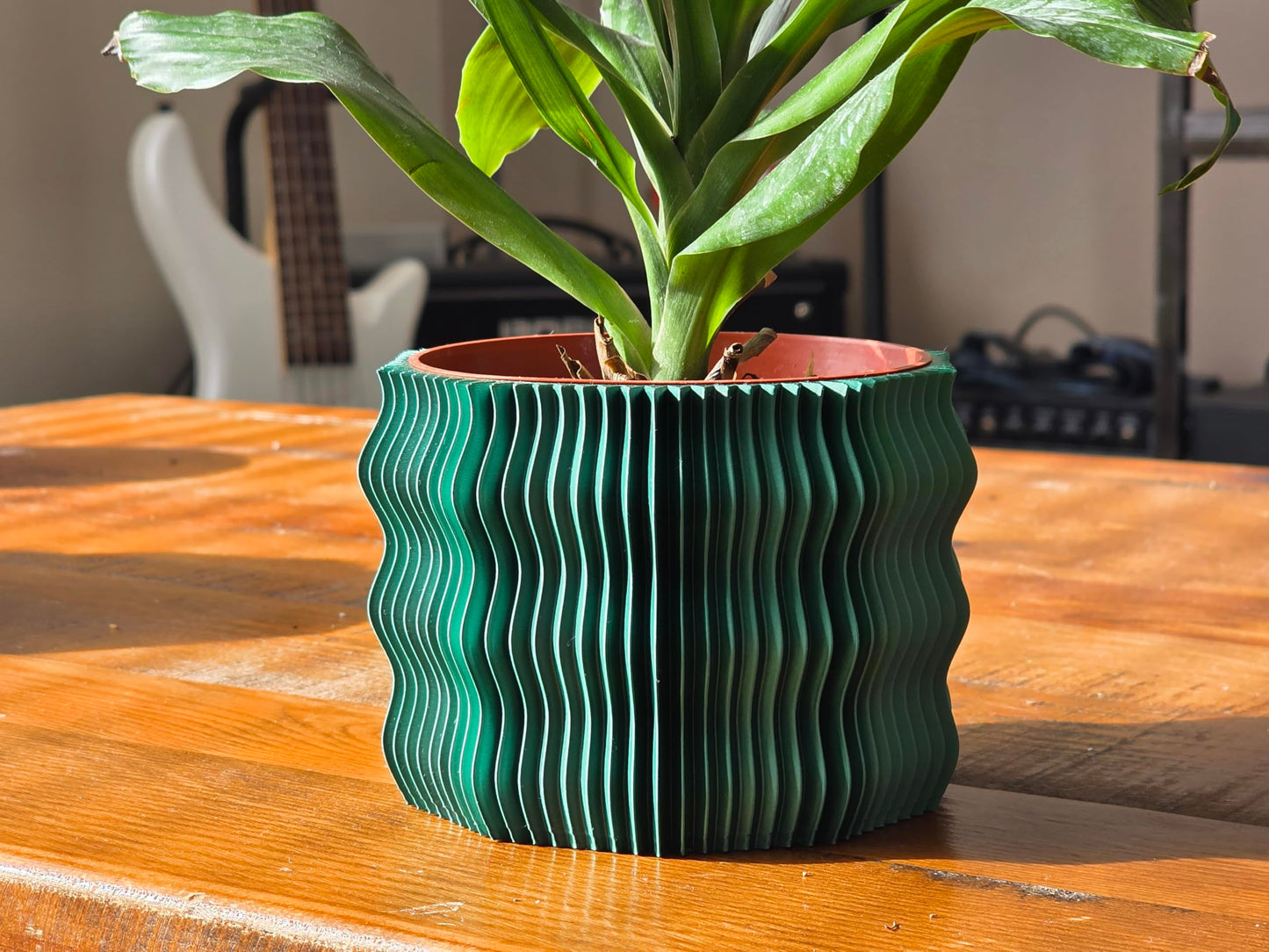 Spiny Wave Indoor Planter with Drain Holes | 3D Printed Modern Geometric Pot for Home & Office | 2" 3" 4" 6" Sizes | Gift for Plant Lovers (17 - Black, 4")