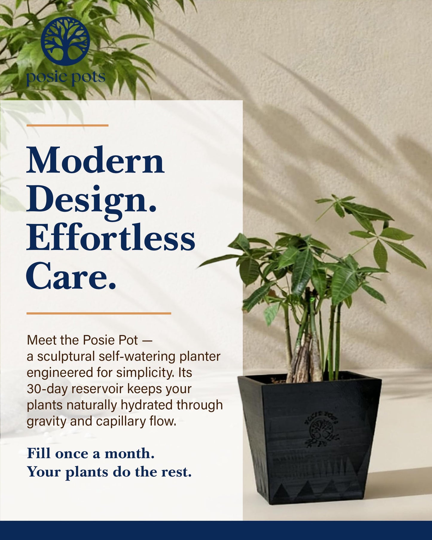 POSIE3DPRINTS Posie Pot Medium Twisted Square - Self Watering Planter 5x5 Inch - Indoor Plant Pot with 30 Day Reservoir - 3D Printed Bioplastic - No Guilt Plant Care - Made in USA, Black