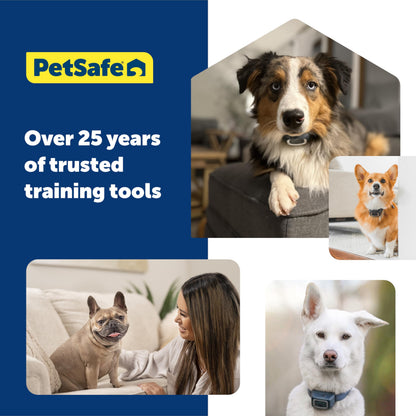 PetSafe Remote Trainer Dog Training Collar - 3 Training Modes: Tone, Vibration, 15 Levels of Static Stimulation, Standard for Dogs Over 8lb+ - Waterproof, Durable, Rechargeable - 100 Yards (300 Feet)