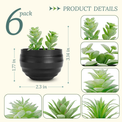 Der Rose Set of 6 Succulents Plants Artificial in Pots Small Fake Plants for Halloween Decorations Bedroom Living Room Office Shelf Black Bathroom Decor