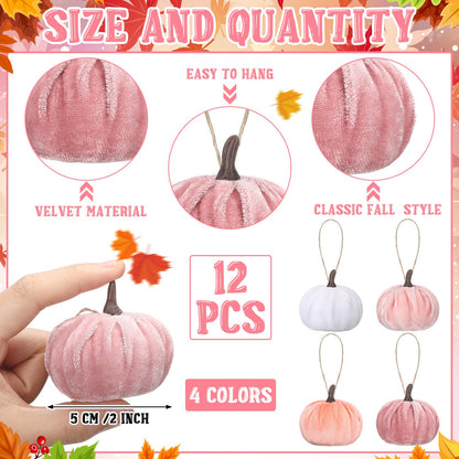 Vercraft 12 Pcs Thanksgiving Pumpkin Hanging Ornament 2 Inches Velvet Thanksgiving Fall Tree Decorations Fabric Small Tree Decorations for Farmhouse Harvest Autumn Home Party Decor(Pink and White)