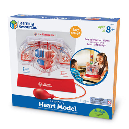 Learning Resources Pumping Heart Model - Science Classroom Must Haves, STEM Student Essentials, Practice Anatomy, Cardiology Artery and Veins Study Tools, Back to School Supplies for Teachers