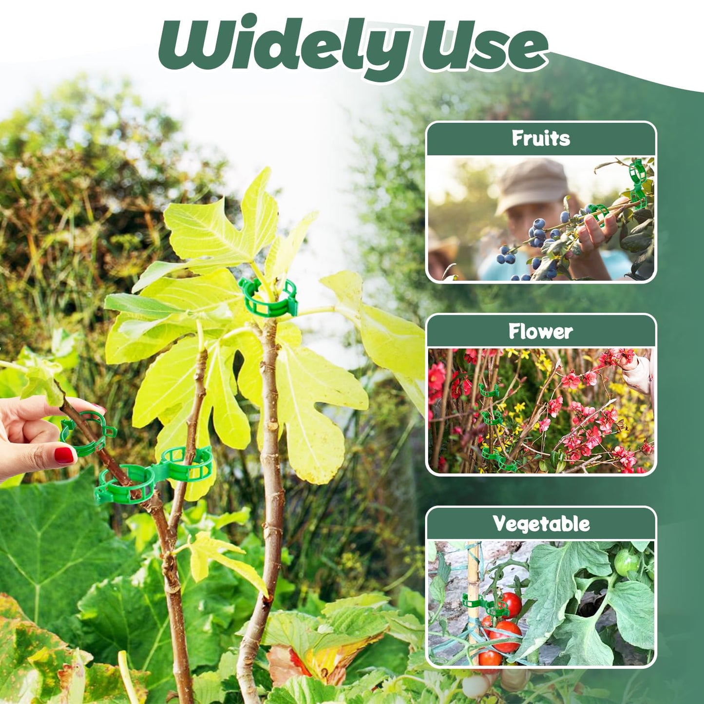 OJYUDD 400 Pcs Tomato Clips,Plastic Vine Clips,Plant Support Clips for Gardening,Climbing Plants,Tomato,Vegetables(Green)