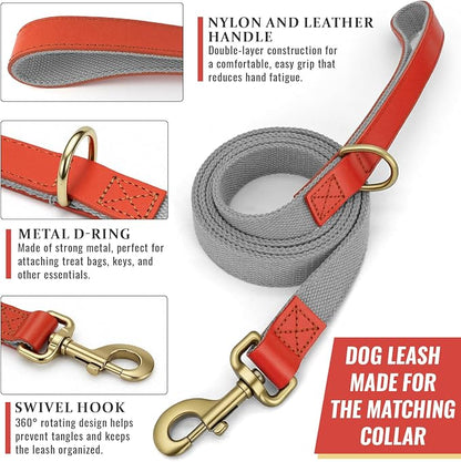 Nylon Dog Leash and Collar Set with Metal Quick Release Buckle, Adjustable, Durable High-Density Fabric, Breathable, Soft and Comfortable for Walking and Training, Silver-Gray, XL (16.9"-26")