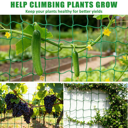 COZYDIG 6.6x16.4FT Trellis Netting for Climbing Plants,Trellis Netting with Plant Clips, Heavy-Duty PE Trellis Net for Cucumber, Tomato, Vegetables, Fruits, Sweet Pea Plants