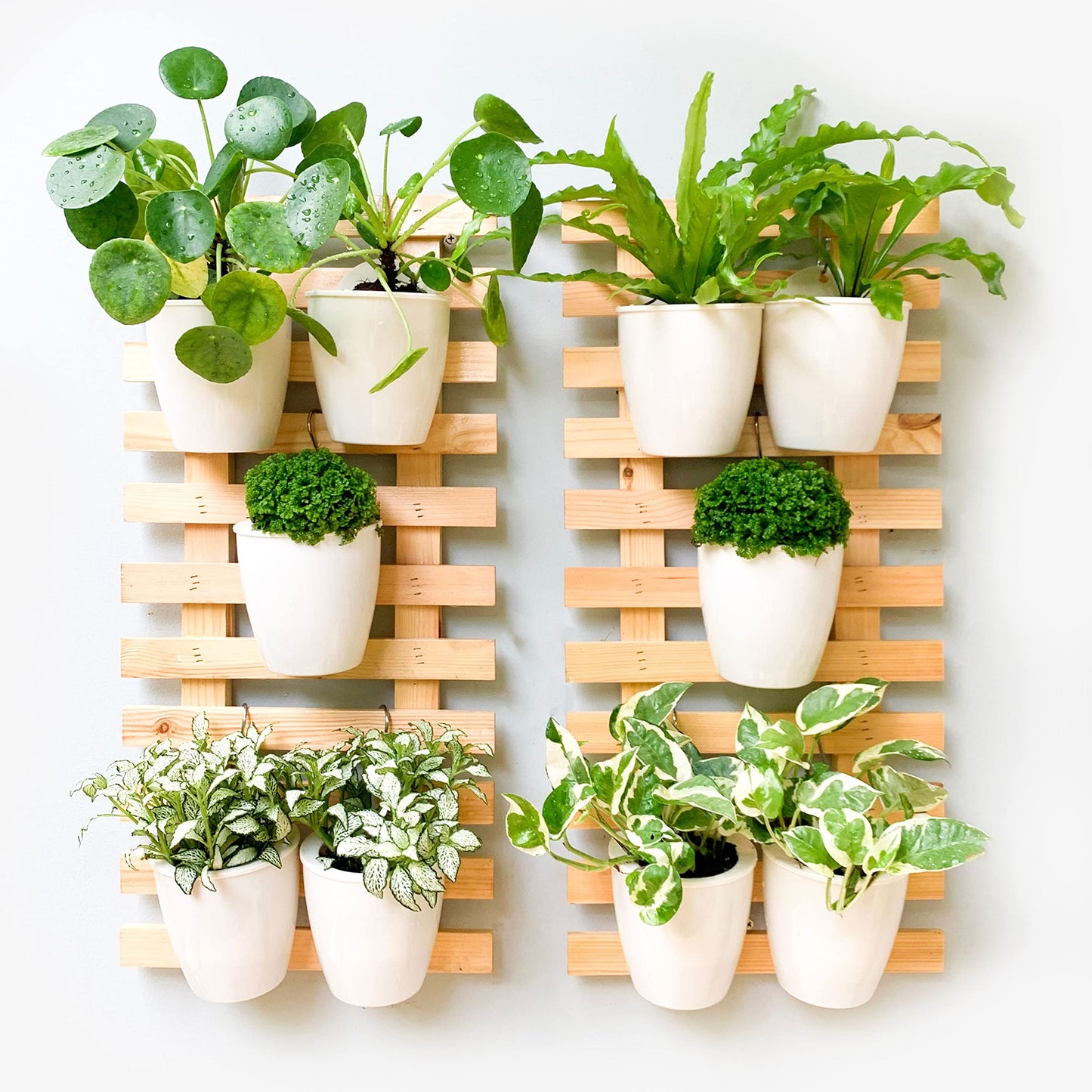 ShopLaLa Bundle- 5 Pack Set Wooden Plant Holder + 10 Pack, 4 Inch White Self Watering Plastic Pots Hydroponic Living Wall Mount Vertical Garden Systerm Rustic Farmhouse Home Shelves Ladder Stand Decor