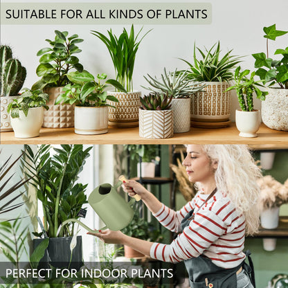 Watering Can Indoor Plants, 35oz Small Indoor Stainless Steel Metal Watering Can Modern Decorative Watering Pot with Long Spout for Indoor House Plant Bonsai Garden Flowers (Sage Green)
