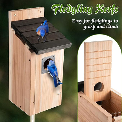 Dreyoo Cedar Bluebird Box Houses for Outside, 1-1/2'' Entrance Hole Wooden Bird Houses with Metal Guard, Secure Latch, Fledgling Grooves, Air Vents for Bluebird Wren Swallow(2 Pack)