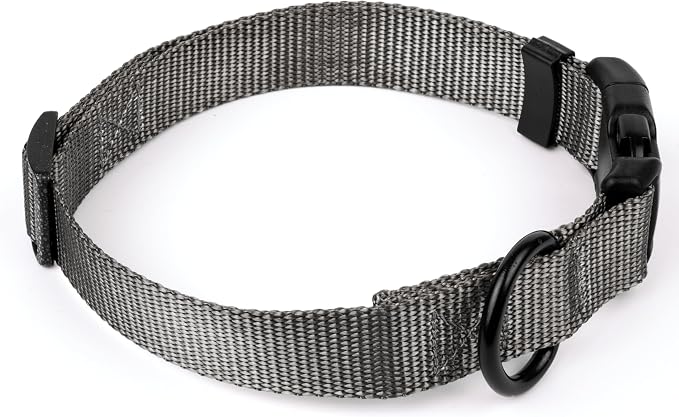 Country Brook Petz - Everyday Nylon Dog Collar and Leash - 10+ Cool Colors (3/4 Inch, Small, Charcoal)