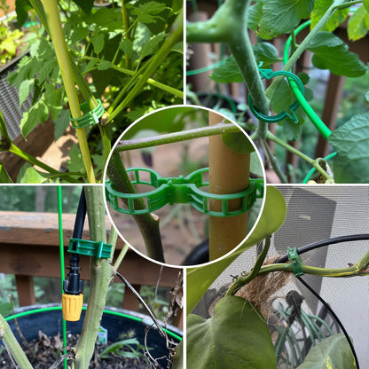 300Pcs Tomato Clips Plastic Plant Support Clips for Garden Trellis Twine and Greenhouse Vine Support Garden Clips for Tomatoes Cucumbers Peppers Climbing Vegetables and Flowers Upright Growth