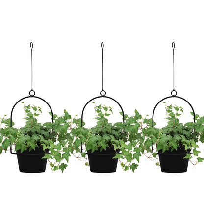Gardzen 3 Packs Hanging Pots for Plants Outdoor & Indoor, Black Hanging Planter, Pot Hangers for Plant Flower