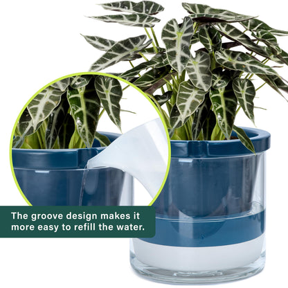 D'vine Dev 10 Inch Design Self Watering Planter for Indoor Plants, Blue Terracotta Pot with Cylinder Glass Cup, 37-X-D-4