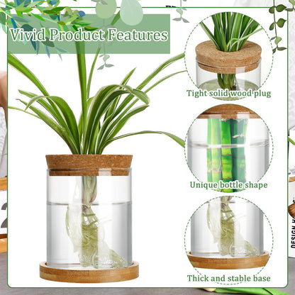 Maxcheck 3 Pcs 3 Sizes Plant Propagation Station Separated Glass Plant Terrarium Water Hydroponic Planter Holder with Lid and Wooden Stand Propagation Vase Pot for Home Indoor Office(Various Sizes)