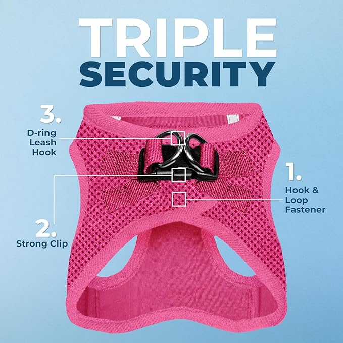 Best Pet Supplies Voyager Step-in Air All Weather Mesh Harness and Reflective Dog 5ft Leash Combo with Neoprene Handle, for Small, Medium and Large Breed Puppies - Fuchsia, Large