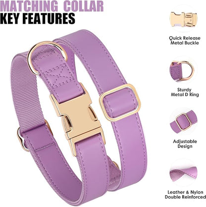 PET ARTIST Soft PU Leather Dog Collar and Leash Set, Bright & Stylish 5FT PU Leather Leash and Collar Set, Durable Pet Collars with Quick Release Metal Buckle for Small Dogs,Purple,S(9"-14")