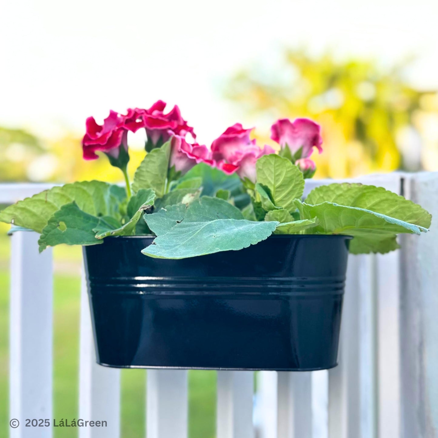 LaLaGreen 11.8 Inch Rail Planter (10-PIECE Combo Set) Black Metal Outdoor Fence Rail Planters, Modern Plants Hanging Railing Balcony Gardening for Apartment Garden Style Iron Patio Flower Pots Deck