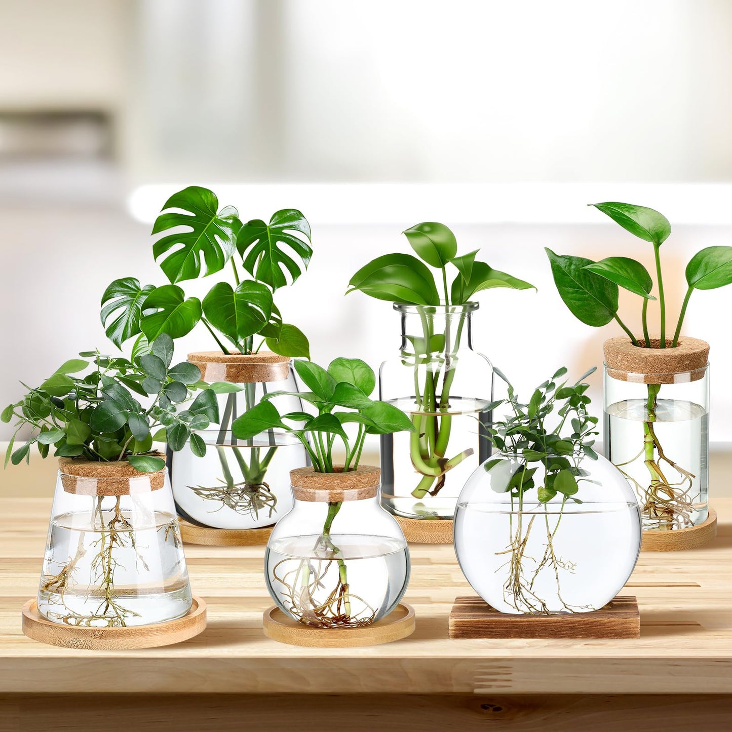 Honeydak 6 Pcs Plants Propagation Stations Planter Terrariums with Wooden Lid and Bamboo Stand Desktop Glass Propagation Vases for Plant Growing Hydroponic Home Office Tabletop Decoration