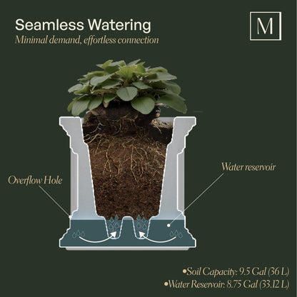 Mayne Fairfield 24-Inch Self Watering Square Planter Box, Weather-Resistant and Durable, Ideal for Indoor and Outdoor Use, Perfect for Patio, Porch, or Entryway