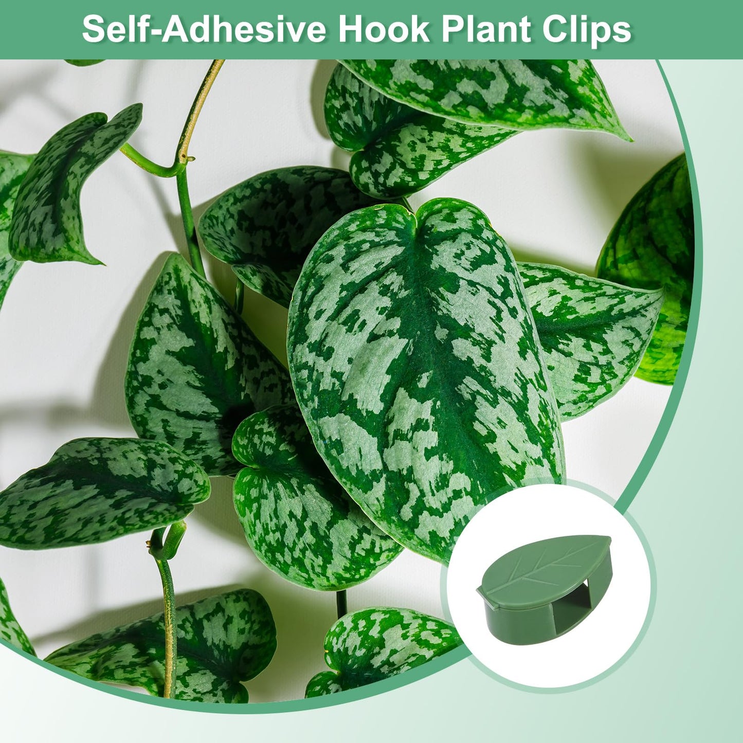 M METERXITY 72-Pack Plant Wall Clips, Plant Climbing Wall Fixture Clips, Self-Adhesive Hook Plant Vine Support Holder for Hook/Plant Vine/Traction Cable Wire Fixing