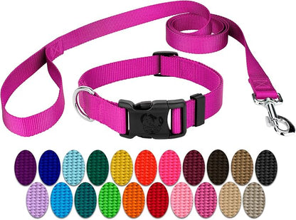 Country Brook Petz - Everyday Nylon Dog Collar and Leash - 10+ Cool Colors (3/4 Inch, Small, Fuchsia)
