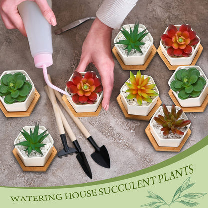 Gerrii Succulent Pots Mini White Ceramic Flower Planter Pot Succulent Planters with Wooden Trays and Drainage Holes for Plants Cactus Home Office Decoration, Plants Not Included(24 Pcs)