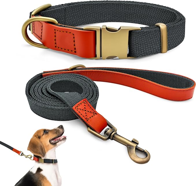Dog Collar and Leash Set with Metal Quick Release Buckle, Adjustable, Breathable Nylon, Durable, Soft and Comfortable, No Pull for Walking and Training, Blue-Black, M (12.6"-19.6")
