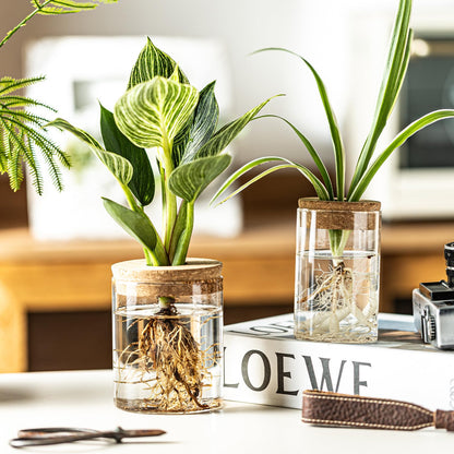 CHPINDAM Glass Propagation Stations for Plants -Desktop Flower Vases,Propagation Flower Vases Set – 2 Large & 2 Small for Plant Cuttings，for Living Room, Bedroom Decoration,Home,Office Decor (8)