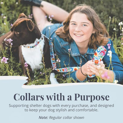 Lucky Love Dog Martingale Dog Collar - Adjustable, No-Slip, Durable, & Soft Webbing Collar for Male and Female Dogs Ideal for Training & Walking - Ladybird, Small