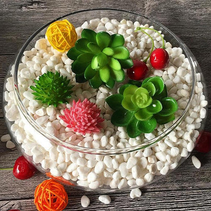 Lotus Bowl Planter Glass Lotus Bowls for Planting in Water Indoors Bonsai Pots No Drainage Hole Hydroponic Aquatic Plants Terrarium Fish Bowls Large