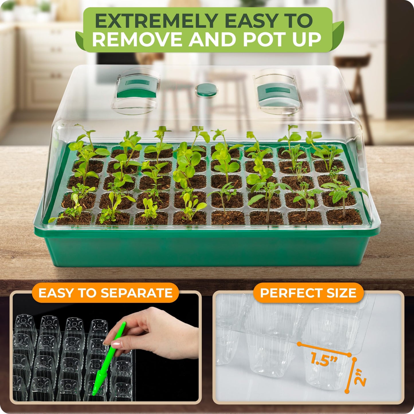 CARPATHEN Seed Starter Tray - Seed Starting Tray with Hard Plastic Humidity Dome and 40 Cells for Seedlings - Plant Germination Trays Plant Starter Kit and Base Mini Greenhouse Germination Kit
