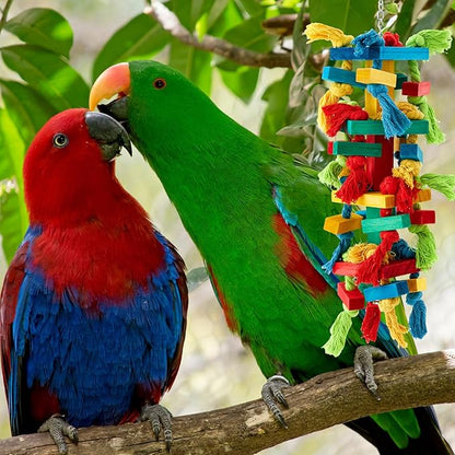 Seenelling 6 Pcs Extra Large Bird Parrot Toy Multicolored Natural Wooden Parrot Cage Chewing Toys for Large Medium Macaws Cockatoos African Grey Birds (Mixed)