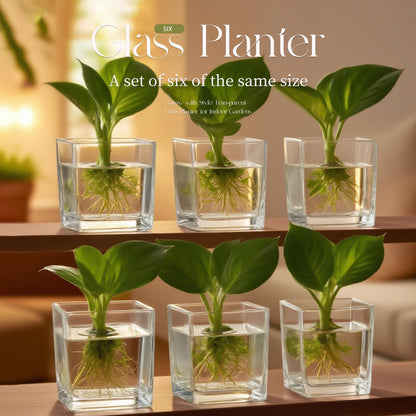 Set of 6 Square Glass Vases for Centerpieces – 4" x 4" x 4" Clear Short Vases, Flower Vase, Plant Terrariums, or Candle Holders for Wedding Centerpieces, Office Decor, Home Décor, Parties
