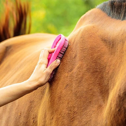 Intrepid International Magic Horse Brush Horse Grooming Kit w/Durable Plastic Britsles, Horse Brushes for Grooming, Grey