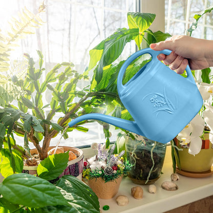 ZXJ Plant Watering Can - for Indoor and Outdoor Home Garden Plants - with Long Spout - Skye Blue - 1/2 Gallon