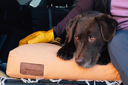 WHITEDUCK Outdoor Dog Bed Heavy-Duty 12oz Canvas, Water-Repellent Cotton, Machine Washable Removable Cover with Full-Length Zipper, Dog Bed for Large Dogs & Crate, (Brown) 41" Lx33 Wx4.3 th (XL)