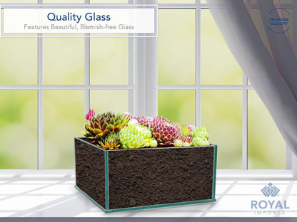 Royal Imports Flower Glass Vase Decorative Centerpiece for Home or Wedding Low Square Plate Glass, 8"x8"x4"(H)