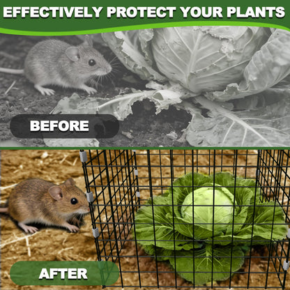 12x12 Inch Chicken Wire Mesh Plant Protectors from Animals Garden Netting Plant Covers Bird Netting for Garden Plant Cages for Outdoor Plants Garden Cloche