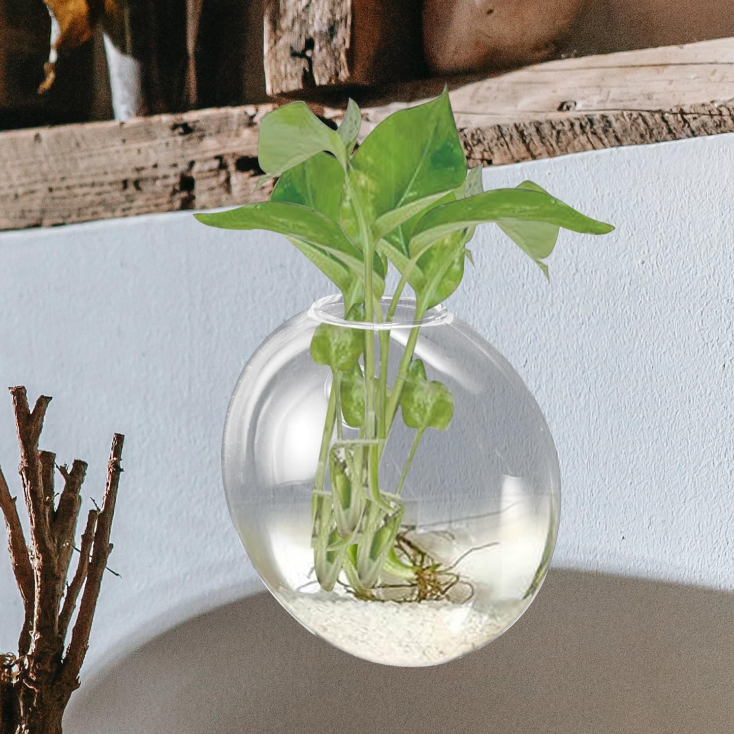 HOMSFOU Wall Mounted Glass Terrarium Vase for Hydroponic Plants, Hanging Plant Holder for Indoor and Outdoor Home Décor,