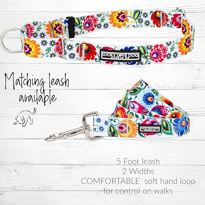 Lucky Love Dog Martingale Dog Collar & Leash - Adjustable, No-Slip, Durable, Comfortable, Soft Webbing, & Stylish Patterned Collar & Leash Set for Male and Female Dogs - Ladybird Combo, Medium