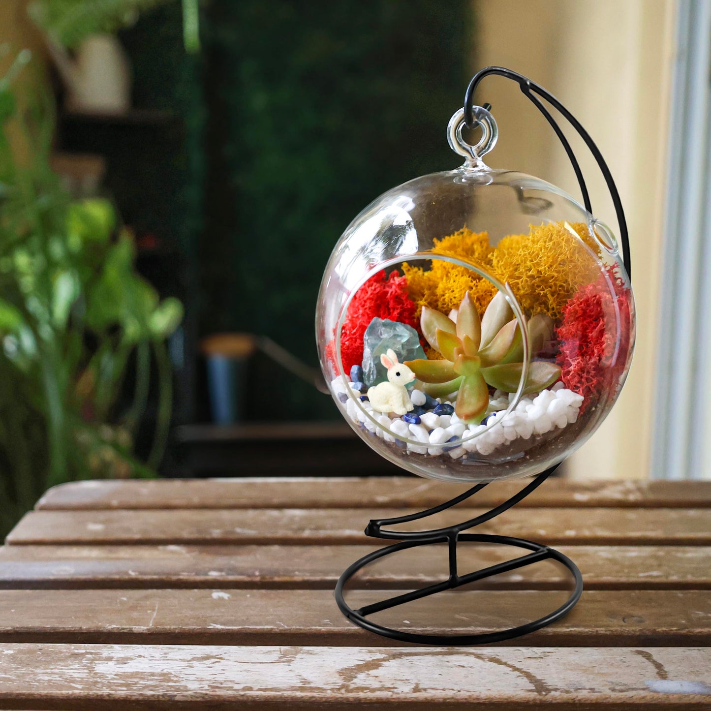 Creations by Nathalie DIY 5" DIY Globe Terrarium Kit - Build Your Own Glass Terrarium for Adults & Teens with Moss, Crystals, Tools & Decorative Figurine - Mini Ecosystem (Plant Not Included)