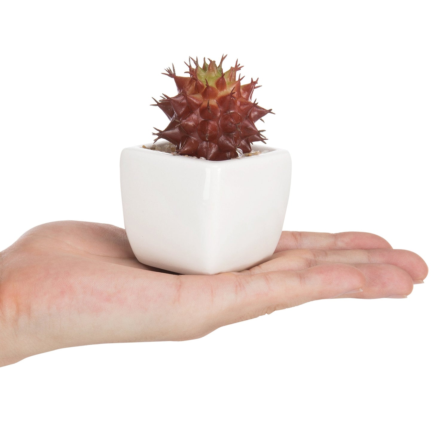 MyGift Assorted Artificial Red Succulent Plants, Mini Fake Desert Plants in White Square Pots, Set of 3