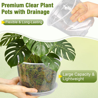 FUOAUYK 12/10/8/6/4 Inch Clear Nursery Pots with Drainage and Saucers, 20 Pack Large Clear Plastic Nursery Pots for Plants, Seedling Plant Pots for Repotting and Growing Plants, Flowers & Vegetables