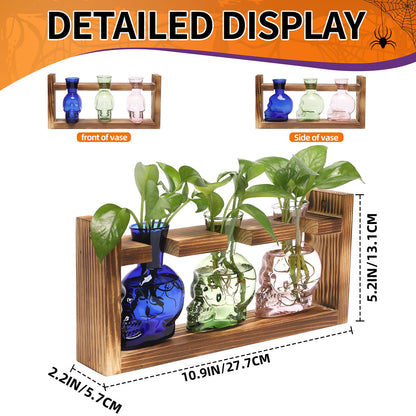 Plant Terrarium Propagation Stations Hydroponics Halloween Skull Planter Vase Skulls Decor with Wooden Stand Gift for Father