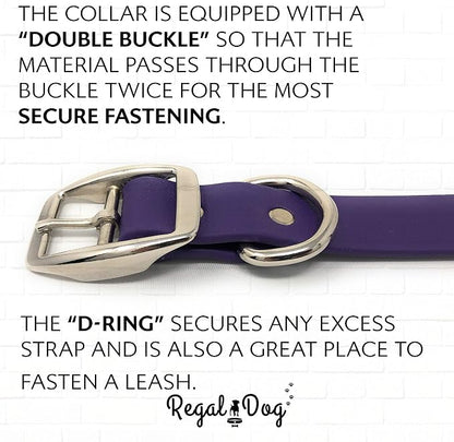 Regal Dog Products Medium Purple Waterproof Dog Collar and Leash Set | Heavy Duty Double Buckle & D Ring - 5'ft Leash | Adjustable Biothane Dog Collar | Chew Resistant Waterproof Collar for Dogs