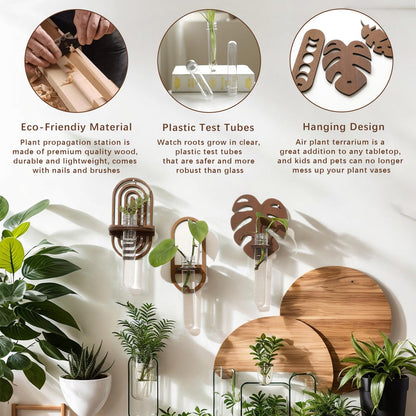 2 Pack Plant Propagation Station Wall Hanging Wooden Shelf Plant Terrarium for Hydroponics Home Office Decor Test Tube Propagate Air Plant Cutting Holder