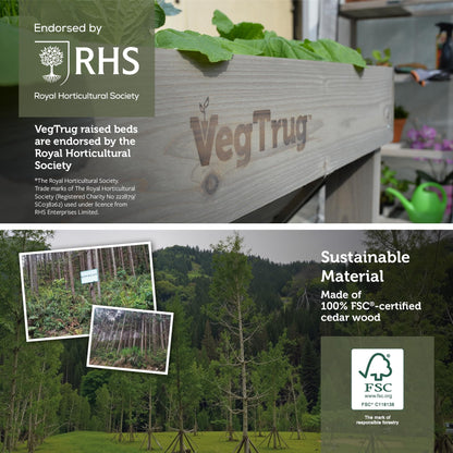 VegTrug Classic Raised Bed, Grey Wash, Small 1m - Cedar Wood V-Shaped Raised Garden Bed for Outdoor Gardening - Ergonomic Design for Balcony, Patio & Small Spaces