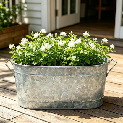 Hosley Galvanized Oval Tub with Handles 18 Inch - Beverage Party Chiller, Garden Planter, Multipurpose Party Ice Holder