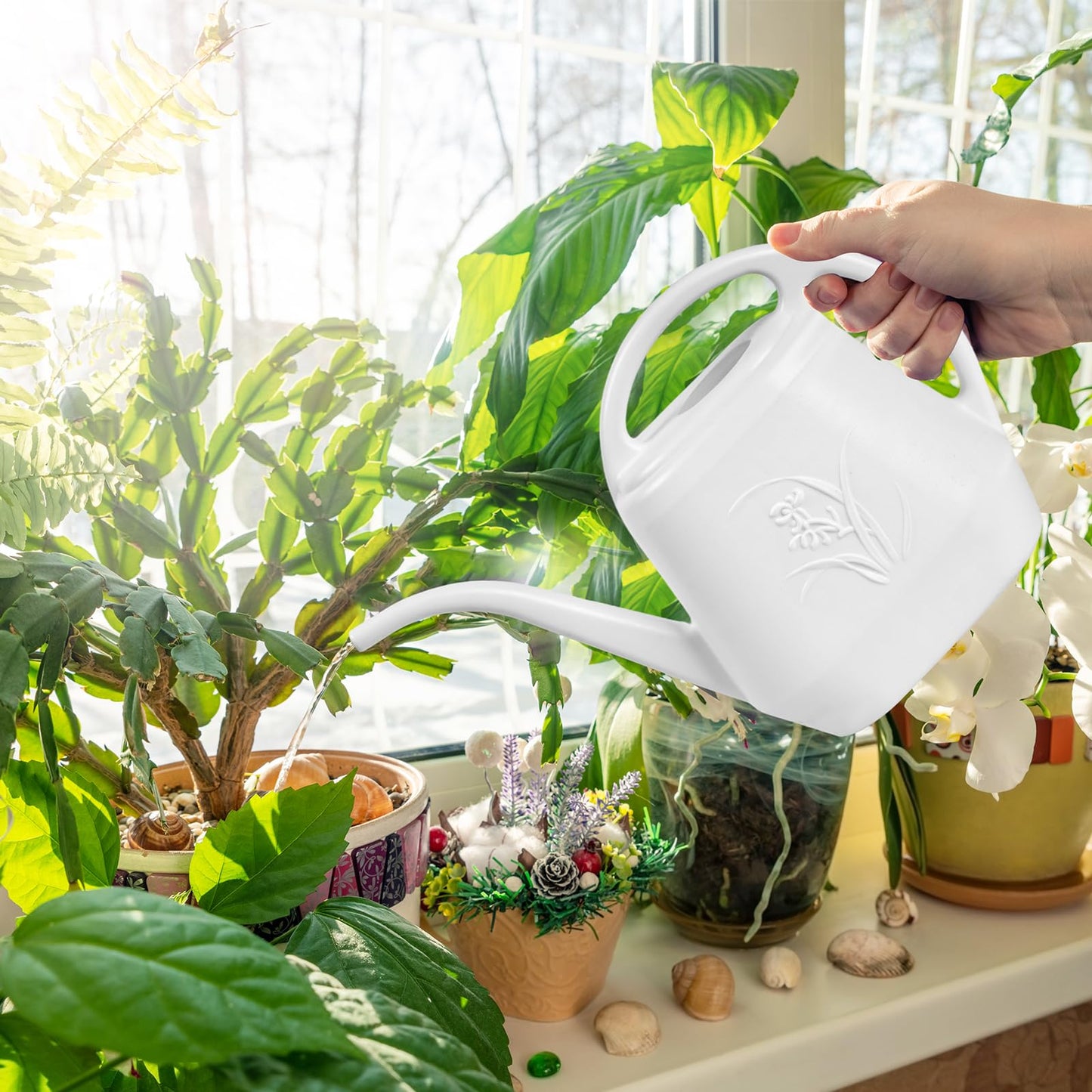 ZXJ Plant Watering Can - for Indoor and Outdoor Home Garden Plants - with Long Spout - White - 1/2 Gallon